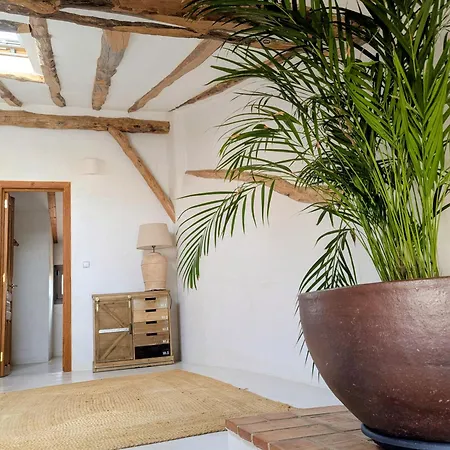 아파트 Casa L'olivar